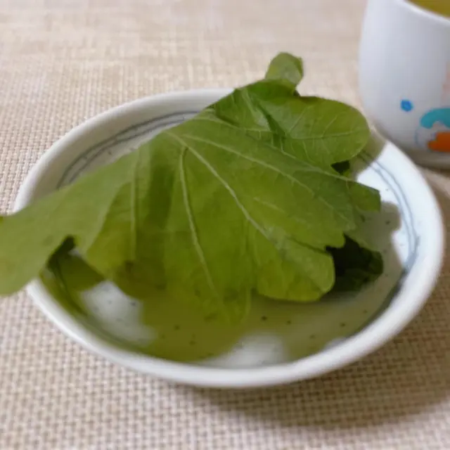 ラスカ熱海1階「石舟庵」さんの柏餅です✨
こしあん、つぶあん、みそあんの3種セットに惹かれました💗(写真はこしあんです！)
この時期には、やはり柏餅が美味しいですね😊
皆様もラスカ熱海にお越しの際には是非、立ち寄ってみてくださいね♪＜ラスカ店高橋＞
#熱海 #熱海スイーツ #石舟庵 #柏餅 #ロイヤルリゾート #熱海の不動産
